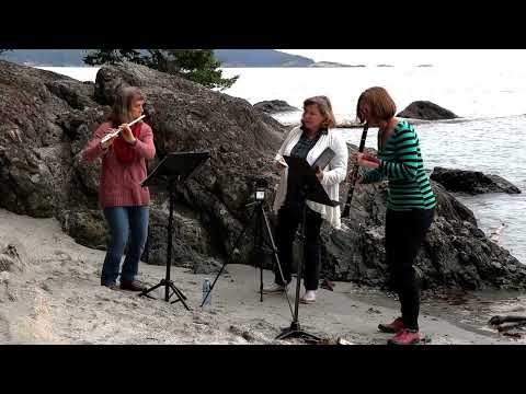 Voice lessons - Range - $45-$125 (Monthly rates - $160-$300/mo.)